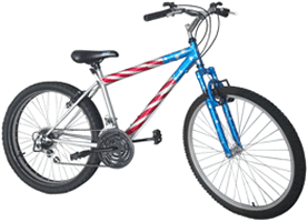 mountain bike w/ flag